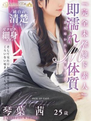 人妻セレブ宮殿 名古屋　琴葉 茜の大きな写真