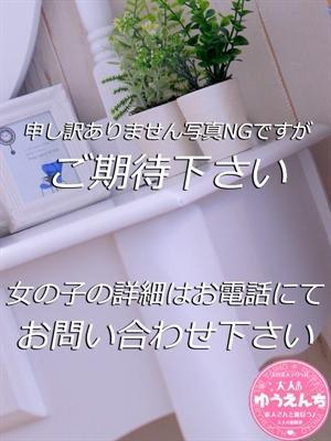 大人の遊園地　みわの大きな写真