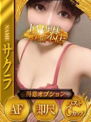 ドMな奥様　サクラの大きな写真