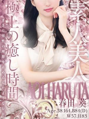 人妻セレブ宮殿 名古屋　春田 葵の大きな写真