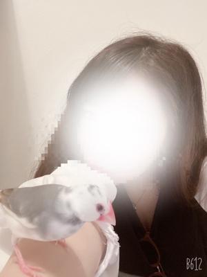 大高・大府市・東海市ちゃんこ　なつちの大きな写真