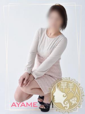 華美人　あやめの大きな写真